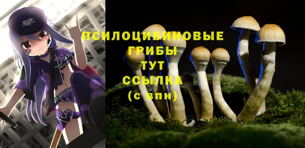 PSILOCYBIN Балабаново